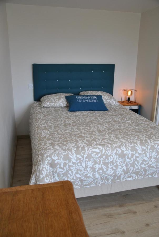 Cap Sur Le Phare A Mogueriec Holiday home Sibiril